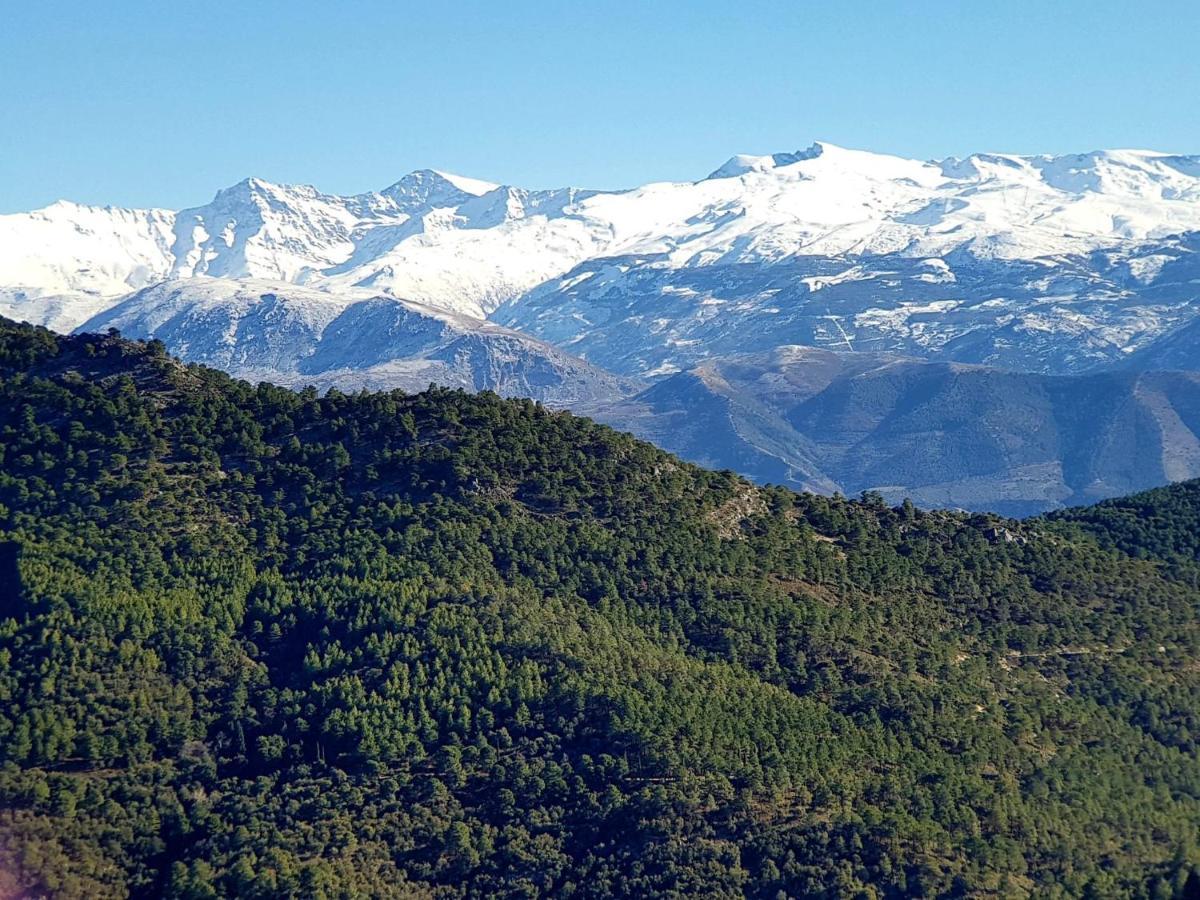 Rincón del Genil Apartamento Cenes De La Vega Exterior foto